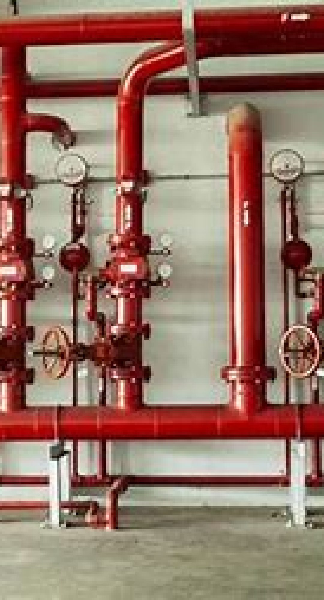 WhatsApp Image 2025-01-20 at 3.02.26 PM