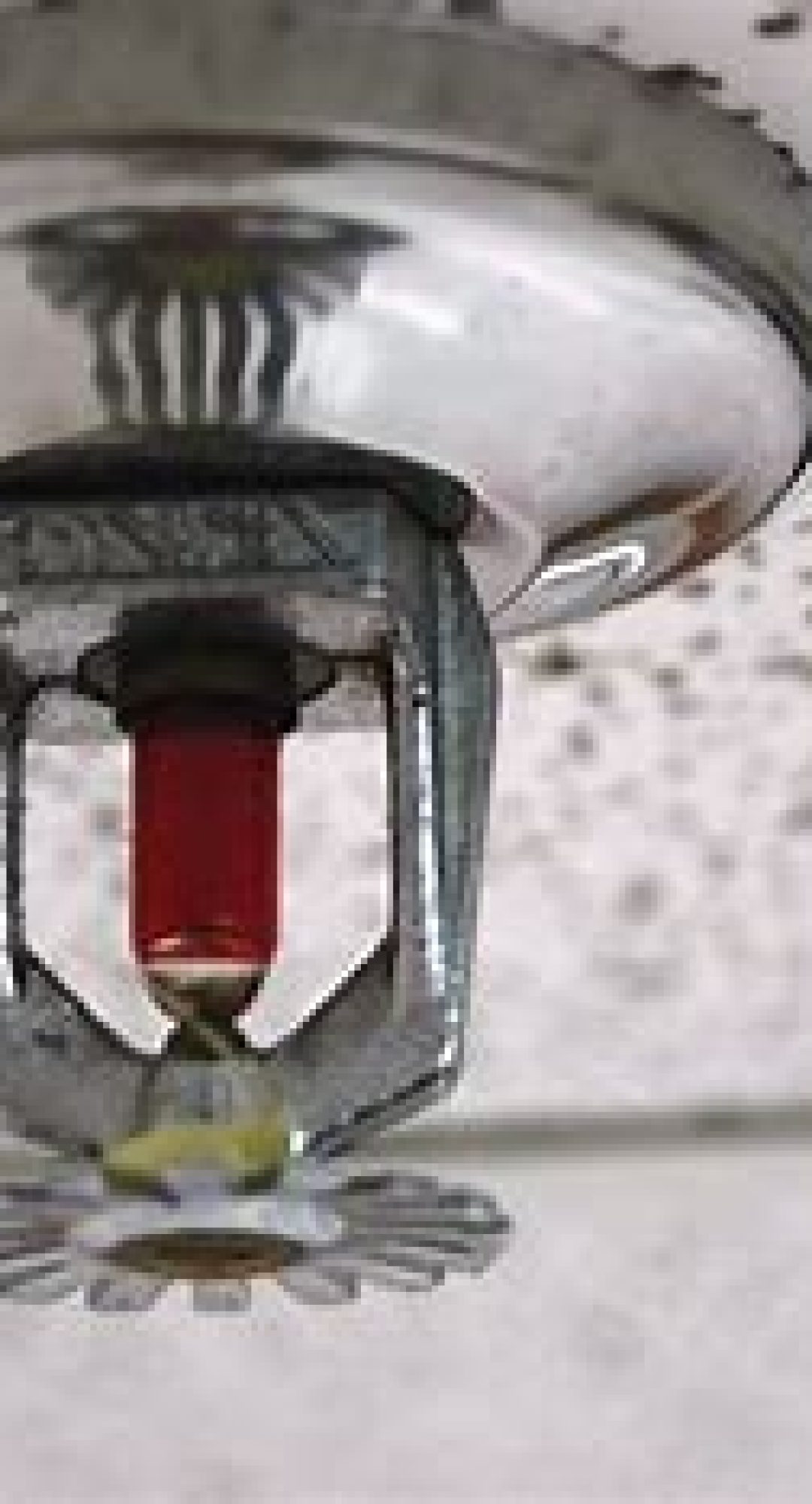 WhatsApp Image 2025-01-20 at 3.02.51 PM (1)